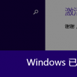 2020年澳网女单决赛